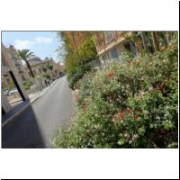 2022-04-27 Begruenung Rue Longchamp 02.jpg